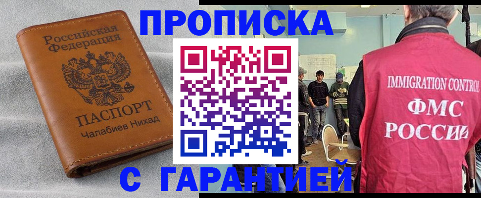 прописка в Вязьме